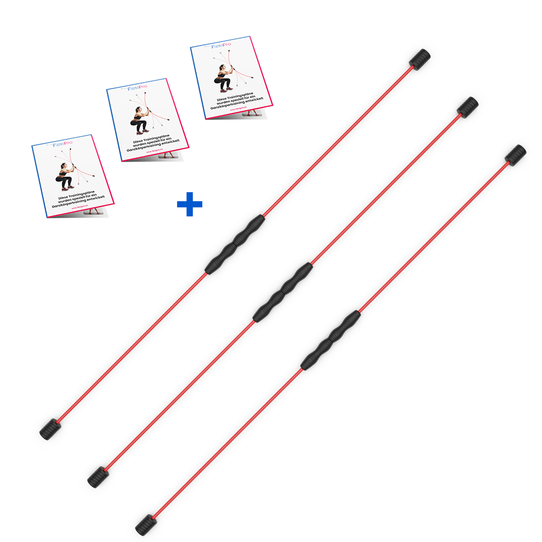 swingstick kaufen